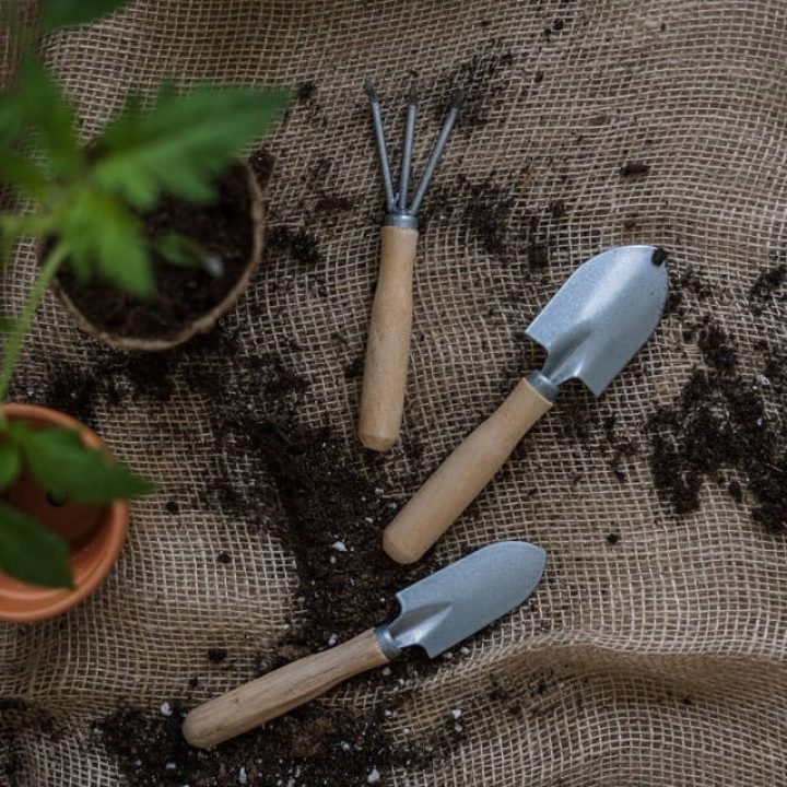 Gardening tools at Best organic farm in kurukshetra